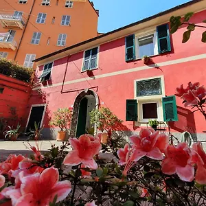 Boutique Novecento Hotell